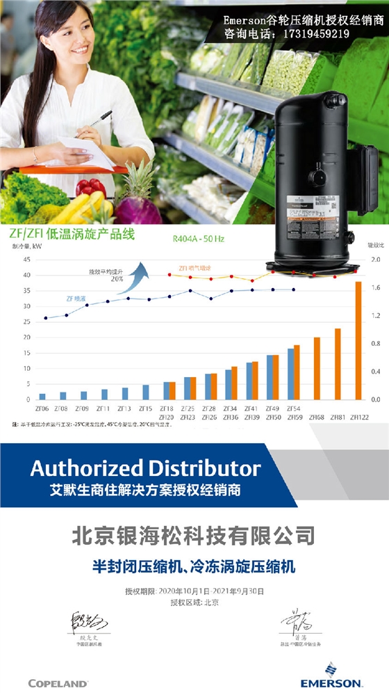 美国艾默生压缩机 美国艾默生压缩机